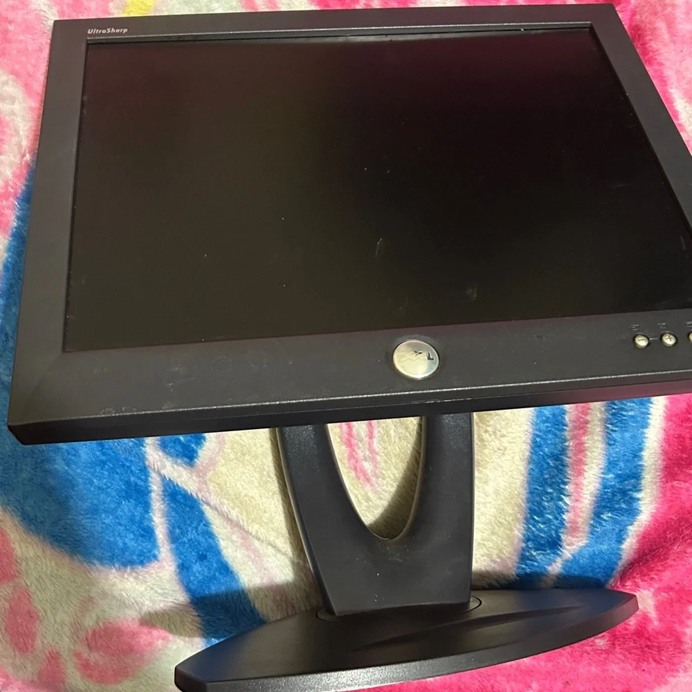 Dell model # 1504FP 15